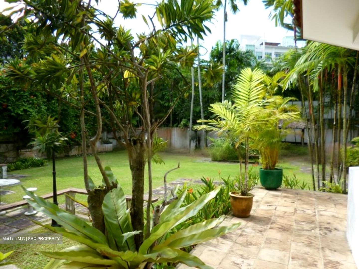 Bukit Timah Road (D21), Detached #486077161
